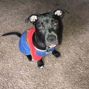 Meet your Posher, Jen